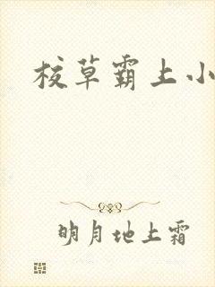 校草霸上小丫头