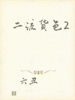 二流货色2