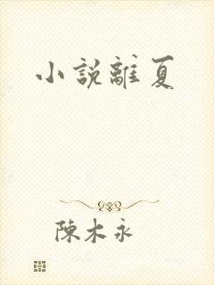 小说离夏