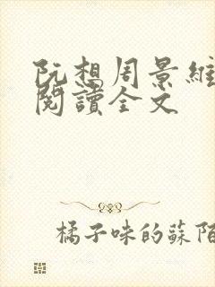 阮想周景维免费阅读全文