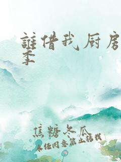 谁借我厨房第三季