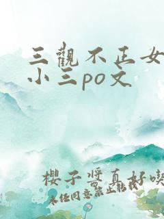 三观不正女主是小三po文