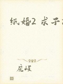 纸婚2 求子记