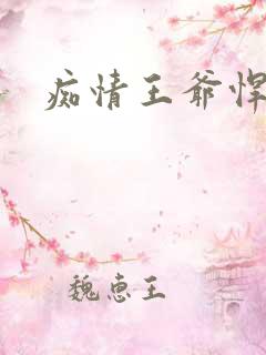 痴情王爷悍王妃