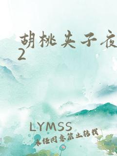 胡桃夹子夜未眠2