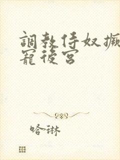 调教侍奴撅臀男宠后宫