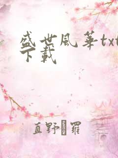 盛世风华txt下载