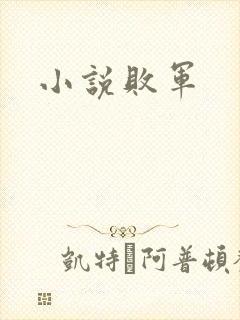 小说败军