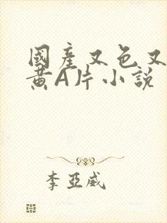 国产又色又爽又黄A片小说