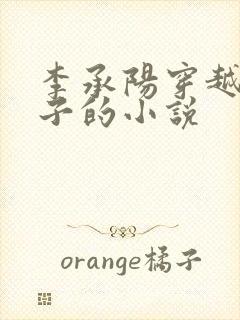 李承阳穿越成皇子的小说