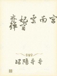 齐妃云南宫夜无弹窗