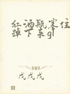 红酒瓶塞住不准掉下来gl