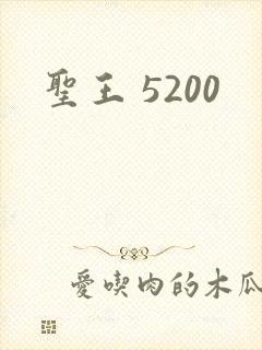 圣王 5200
