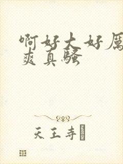 啊好大好厉害好爽真骚