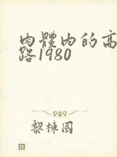 肉体内的高速公路1980