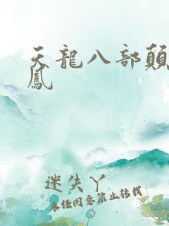 天龙八部颠龙鸾凤