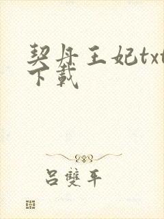 契丹王妃txt下载