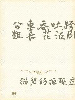 公车吞吐跨坐 粗长 花液BL