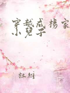 穿越成杨家将最小儿子