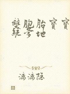 双胞胎宝宝的总统爹地