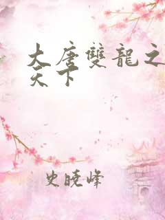 大唐双龙之无敌天下