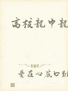 高校龙中龙全集