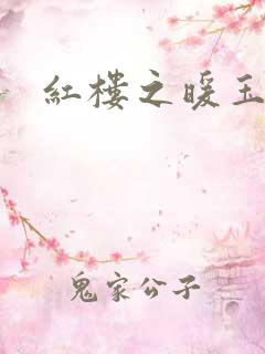 红楼之暖玉