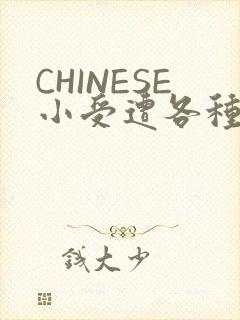 CHINESE小受遭各种打桩