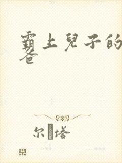 霸上儿子的总裁爸