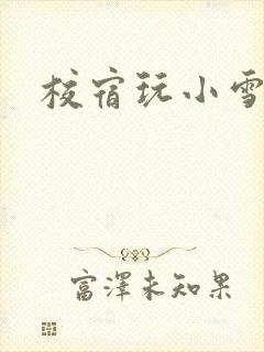 校宿玩小雪