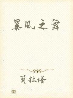 暴风之舞