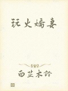 玩火娇妻