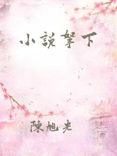 小说拿下