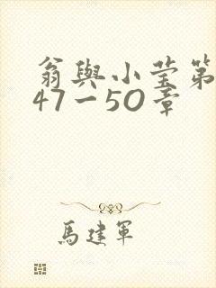 翁与小莹第十部47一5O章