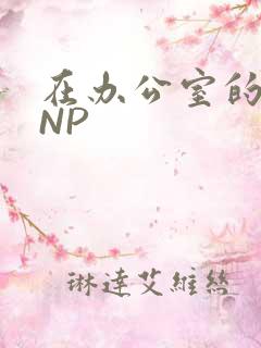 在办公室的椅子NP