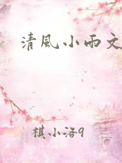 清风小雨文学网