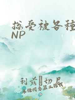 总受被各种姿势NP