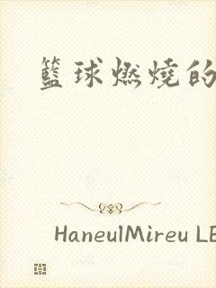 篮球燃烧的岁月