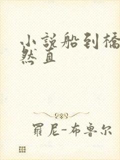 小说船到桥头自然直