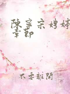 陈宁宋娉婷最新章节