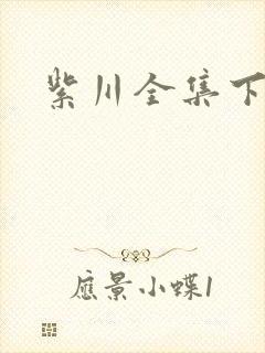 紫川全集下载
