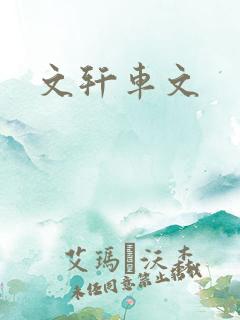 文轩车文