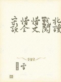宋惜惜战北望小说全文阅读