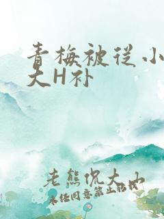 青梅被从小摸到大H补