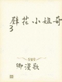 壁花小姐奇遇记3