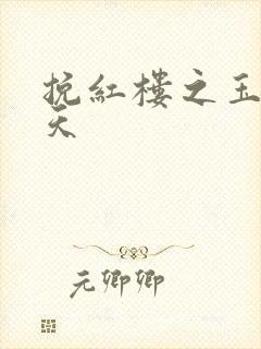 挽红楼之玉舞九天