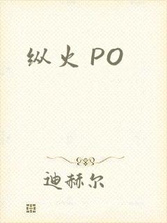 纵火 PO