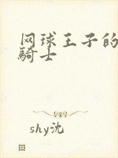 网球王子的公主骑士