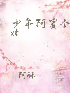 少年阿宾全集txt