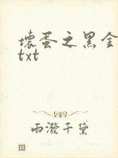 坏蛋之黑金帝国txt